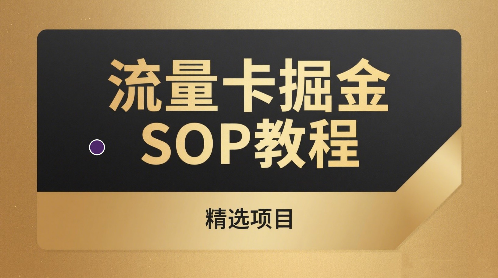 【精选项目】流量卡掘金 SOP教程|小白可落地的长期副业项目-老高项目网