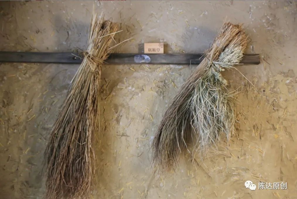 东北三宝是哪三宝_大家熟知的东北三宝是_东北三宝哪里生产的