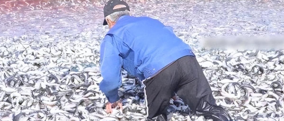 火山喷发主要原因_火山喷发的成因是什么_火山喷发是啥