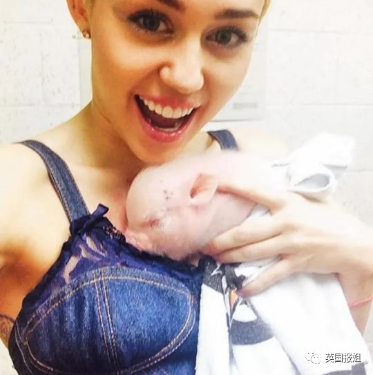 香猪长多大又生小猪仔_小香猪多大算成年_小香猪能长多大