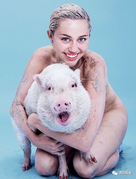 小香猪能长多大_香猪长多大又生小猪仔_小香猪多大算成年