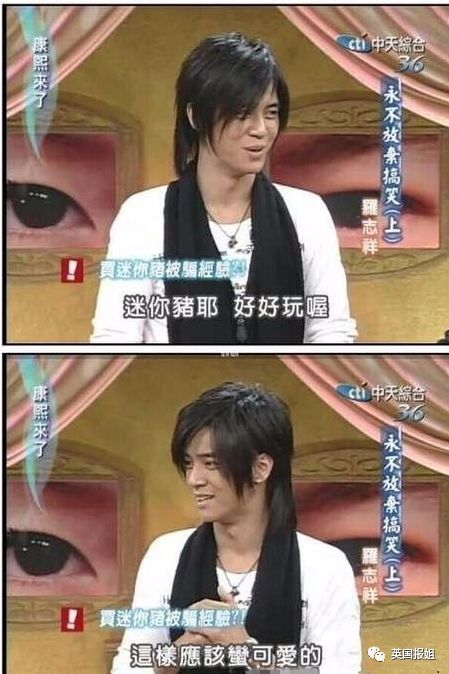 小香猪多大算成年_小香猪能长多大_香猪长多大又生小猪仔