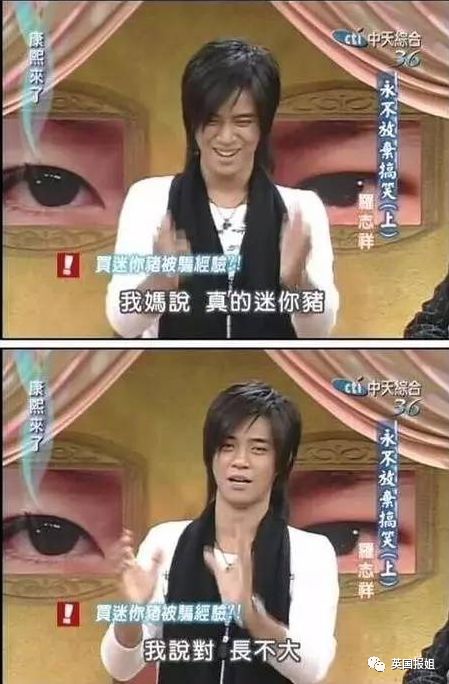 小香猪能长多大_小香猪多大算成年_香猪长多大又生小猪仔