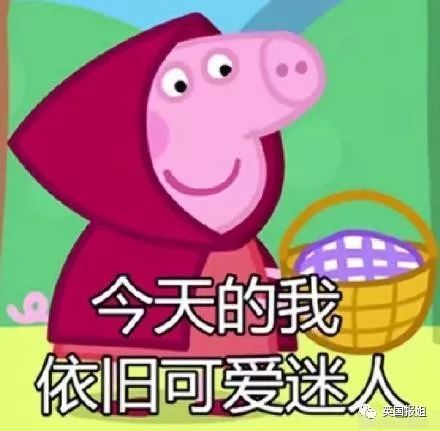 小香猪多大算成年_小香猪能长多大_香猪长多大又生小猪仔