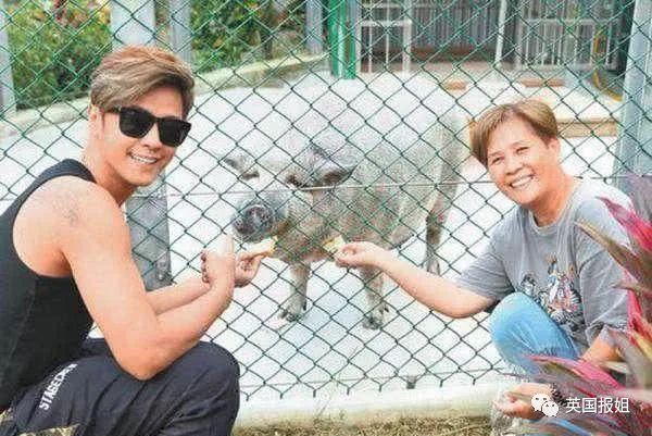 小香猪多大算成年_小香猪能长多大_香猪长多大又生小猪仔