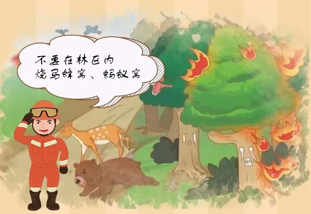 森林防火方针是预防为主_森林防火总方针_森林防火方针