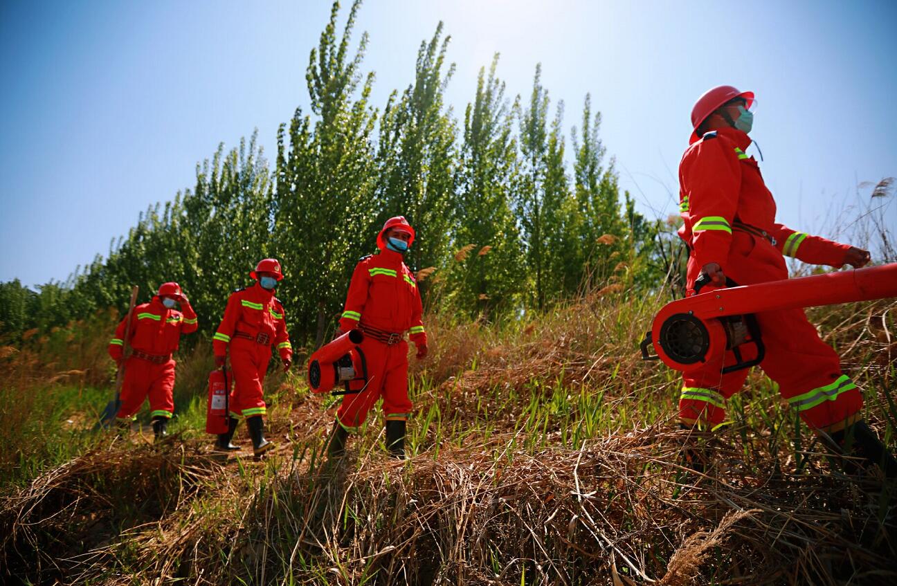 森林防火方针是预防为主_森林防火方针_森林防火总方针