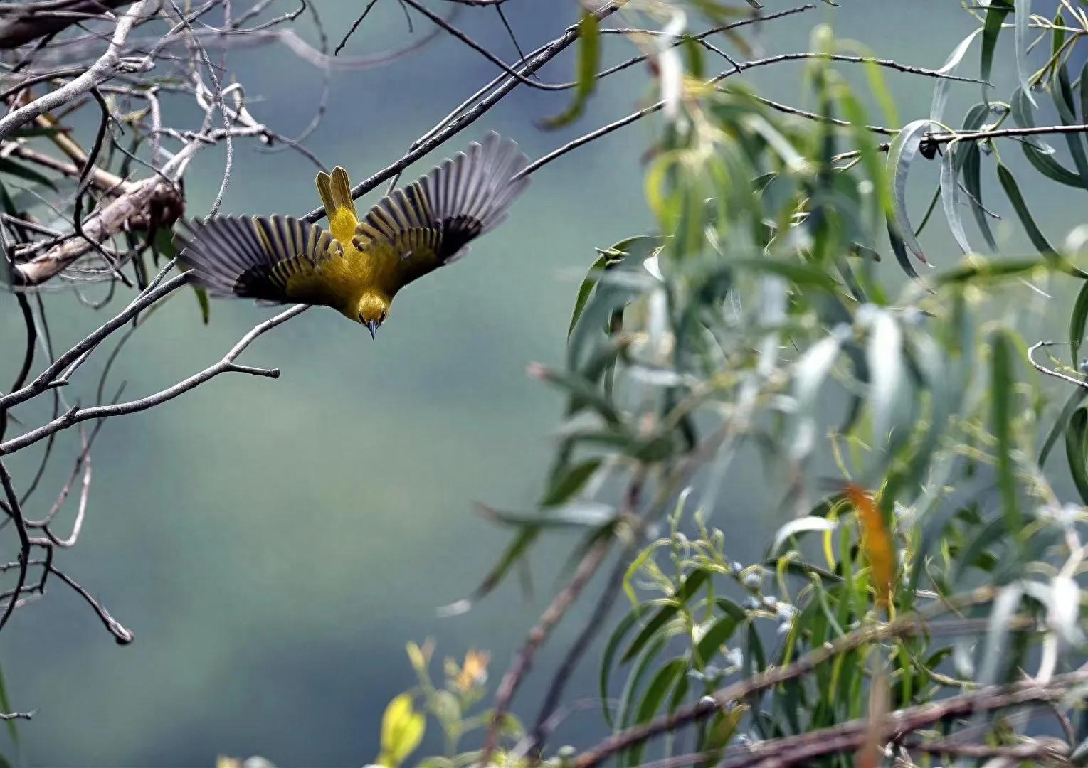 摩西十诫_摩西摩西_摩西分海