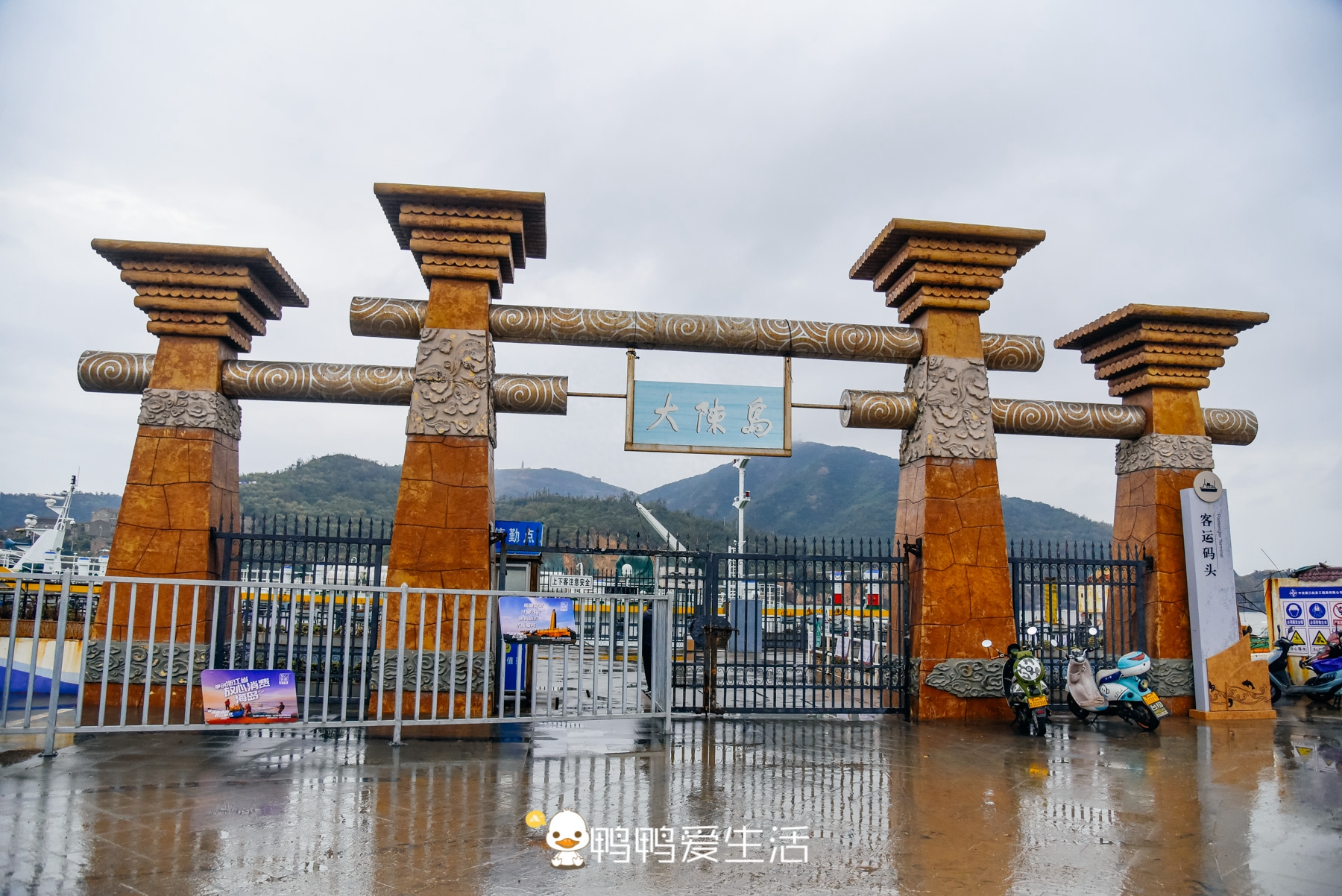 黄金琵琶虾_虾琵琶能一起吃吗_琵琶虾