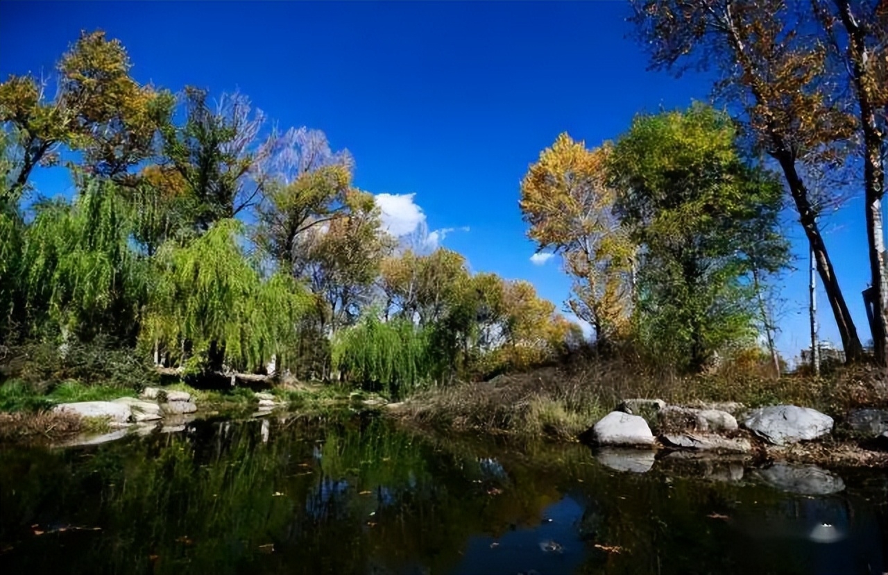 青海省会西宁简介_青海的省会_青海省会西宁