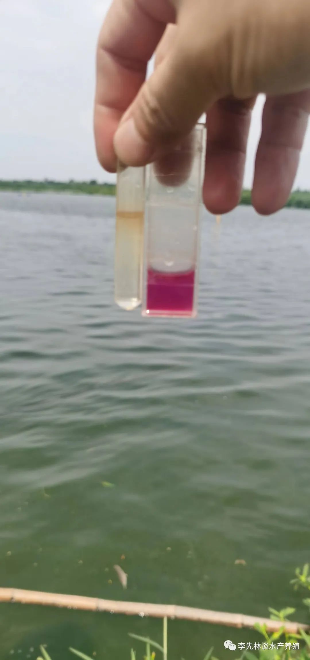 高温天鱼类养殖做好哪些关键管理能多长鱼？