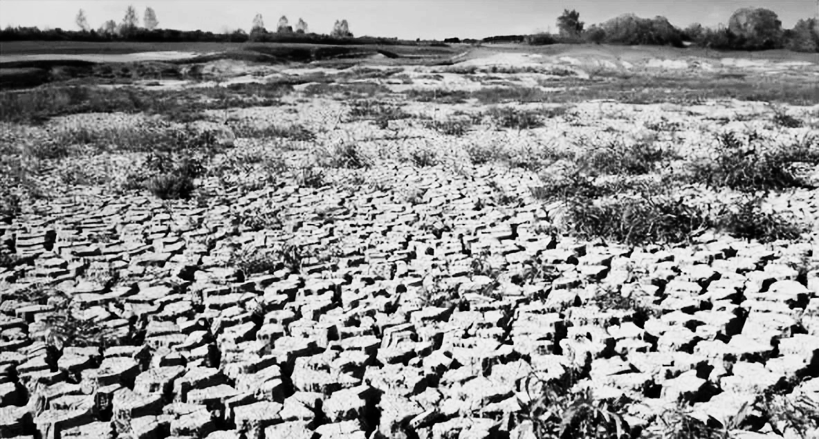 北宋五子是哪五个人_北宋五子是哪五子_北宋五子