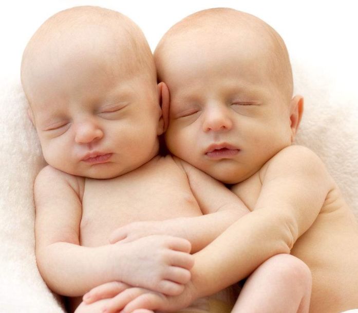 基因改造露露和娜娜_璐璐娜娜基因_基因编辑婴儿娜娜和露露现状