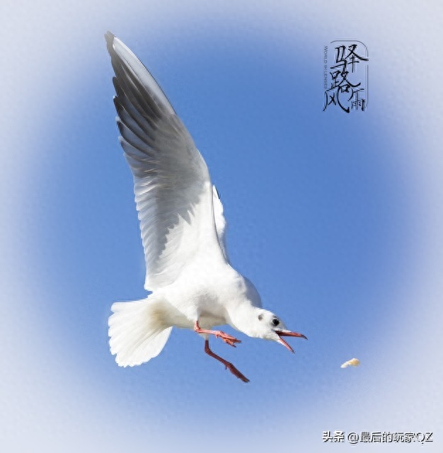 消极自由_消极自由和积极自由的概念_消极自由和积极自由的关系