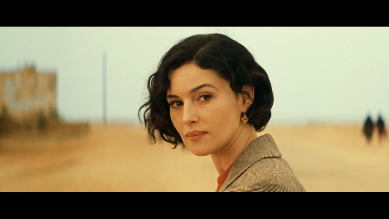 可可西里的美丽传说的剧情解说_可可西里美丽传说经典台词_可可西里的美丽传说电影