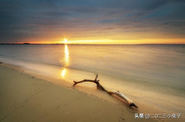 消极自由是什么意思_消极自由和积极自由的区别_消极自由