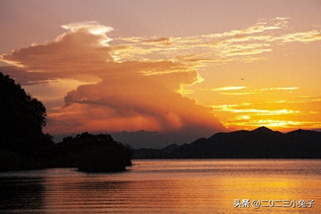 消极自由_消极自由和积极自由的区别_消极自由是什么意思