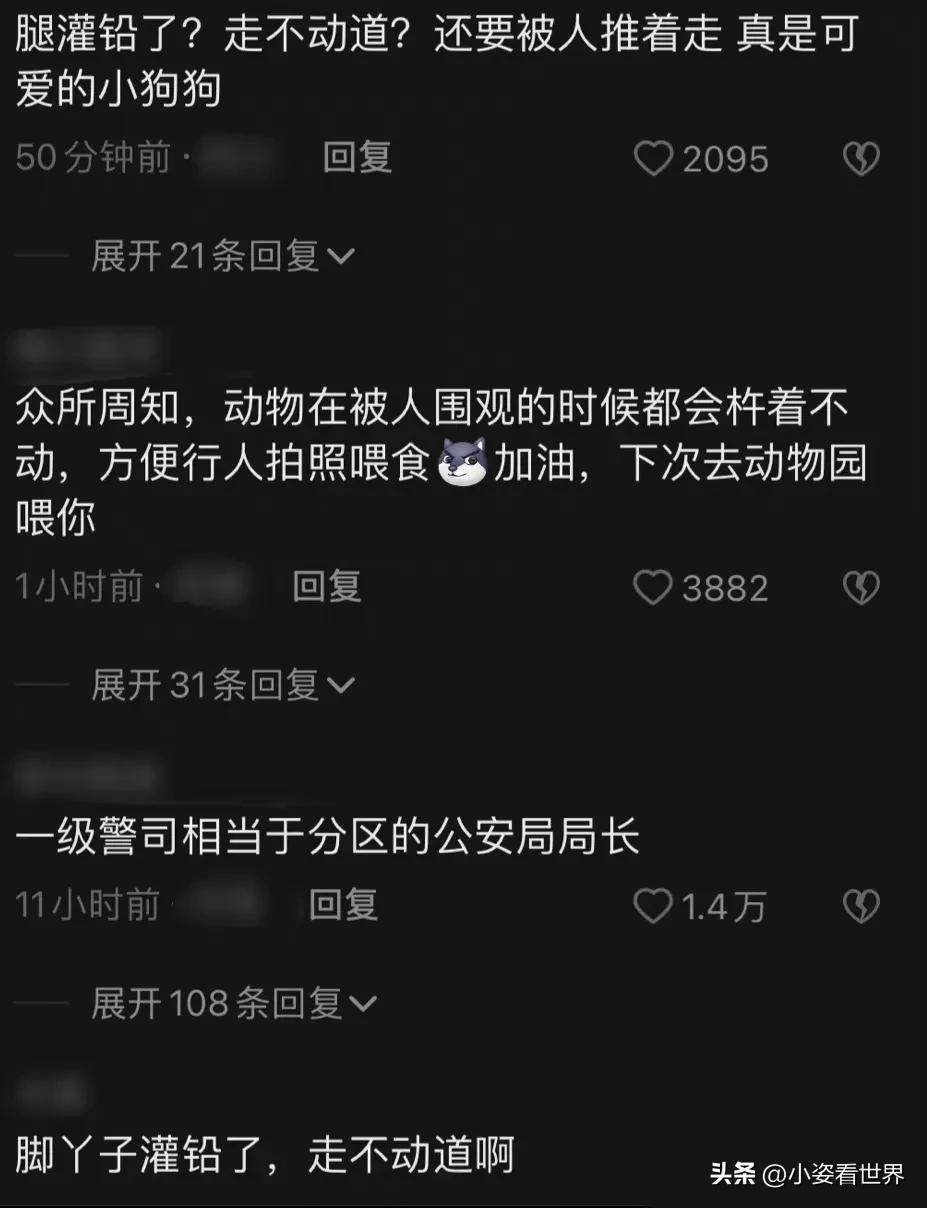 余景天事件是啥_余景天事件是什么_余景天发生什么了