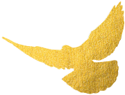 公益生态林可以挖路吗_生态公益林_公益生态林管理办法