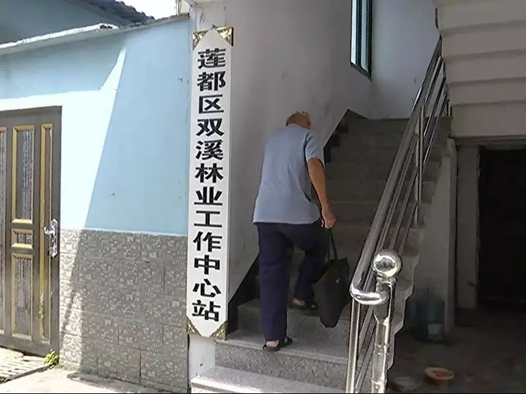 公益生态林可以挖路吗_公益生态林管理办法_生态公益林