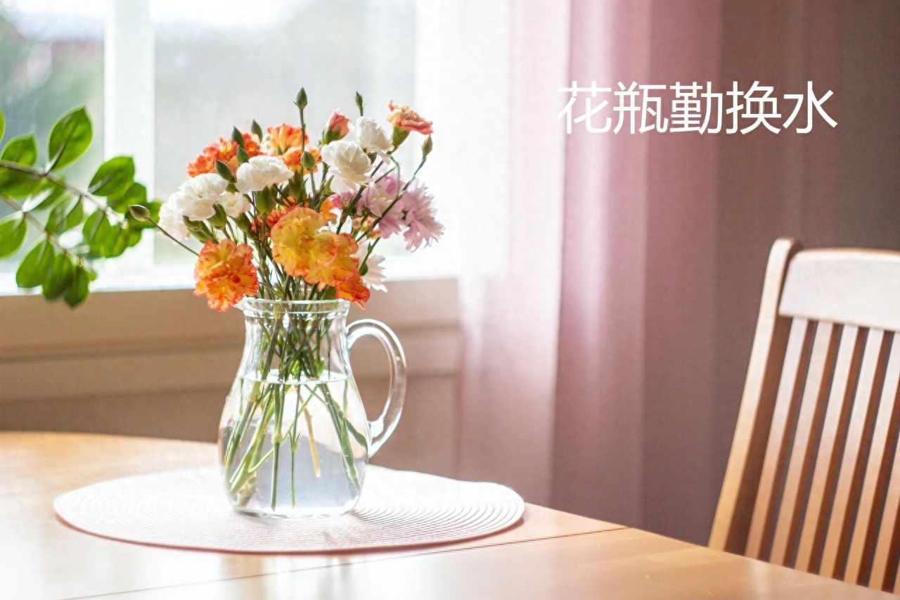 蚊子在床头嗡嗡后会躲在哪里_蚊子床头敢靠近放衣服吗_床头放什么蚊子不敢靠近