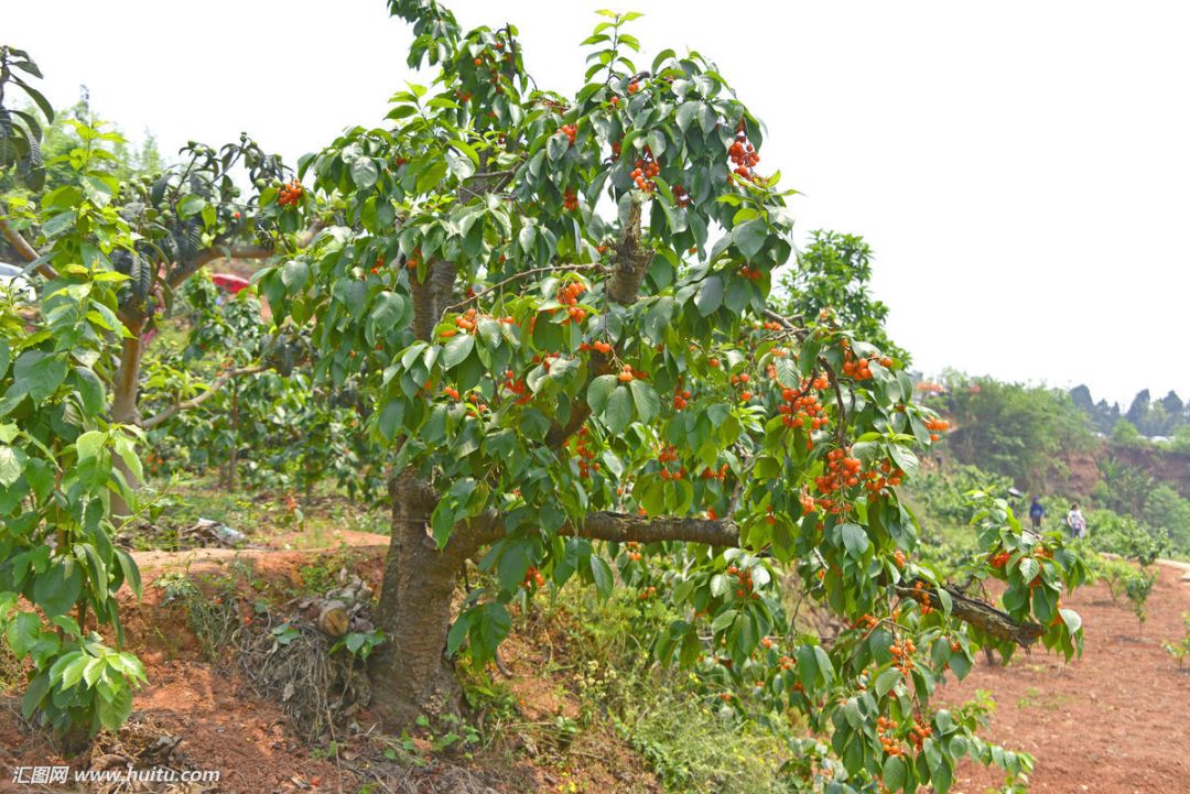 2018年国自然基金指南_大自然的指南针_自然基金课题指南