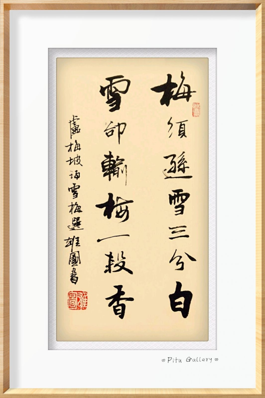 梅花的颜色-梅以曲为美