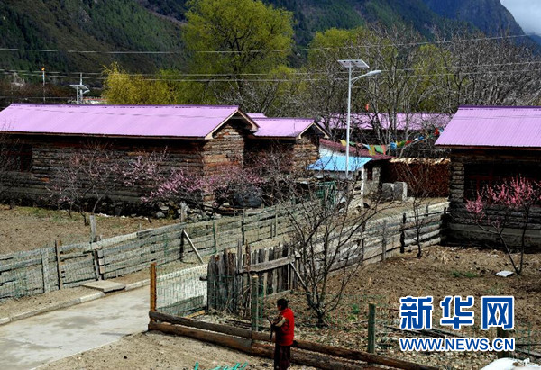 中华民族的精神是什么_中华民族精神是中华文化的什么_中华民族精神是中华民族的根