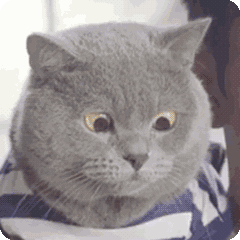 江苏高等职业院校_江苏高等职业技术学院_江苏学院职业技术学院