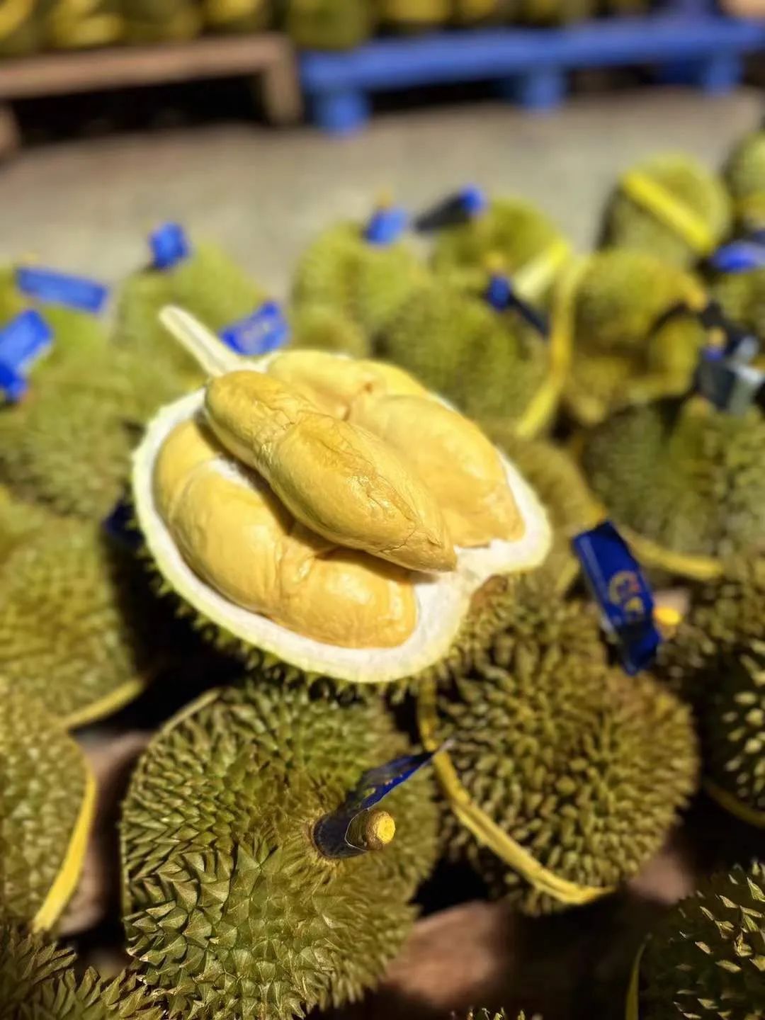 榴莲打开了不熟要怎么放才能熟-榴莲没有熟怎么处理才能熟，榴莲没有熟可以蒸熟吗，榴莲没有熟透可以吃吗