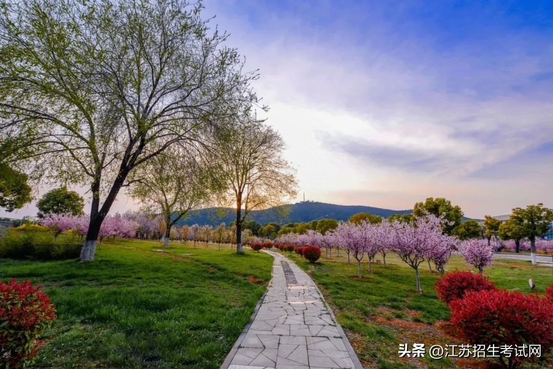 江苏职业技术学院是什么学历_江苏高等职业技术学院_江苏高等职业技术学院官网