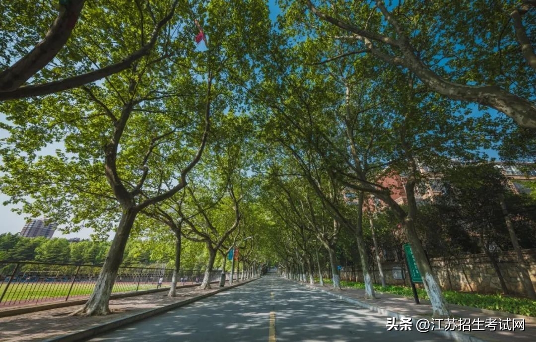 江苏职业技术学院是什么学历_江苏高等职业技术学院官网_江苏高等职业技术学院