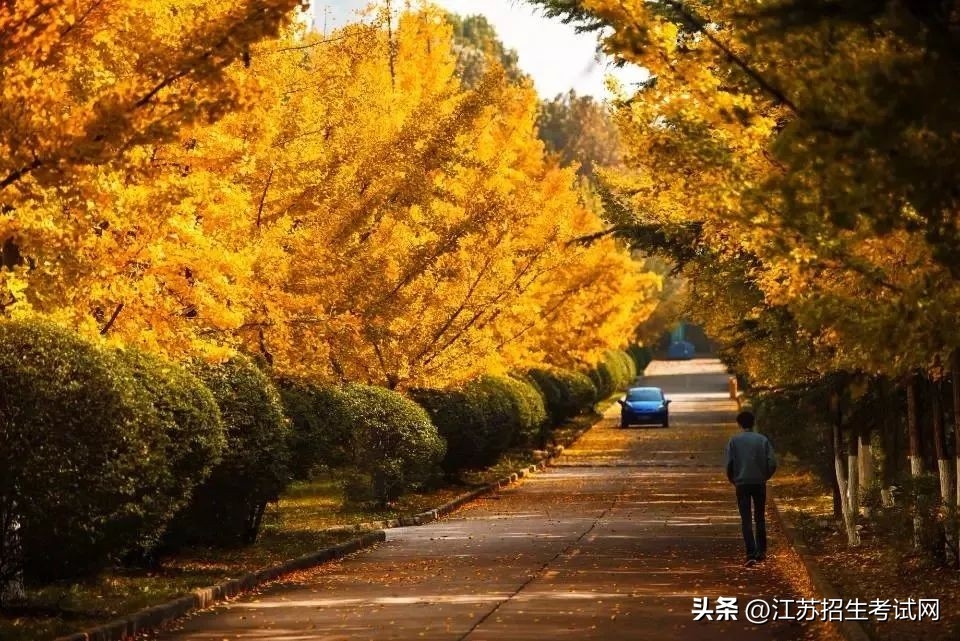 江苏高等职业技术学院_江苏高等职业技术学院官网_江苏职业技术学院是什么学历
