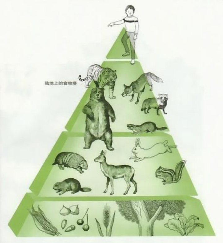 角蛙有毒吗会咬人吗_角蛙有毒吗_角蛙有病毒吗