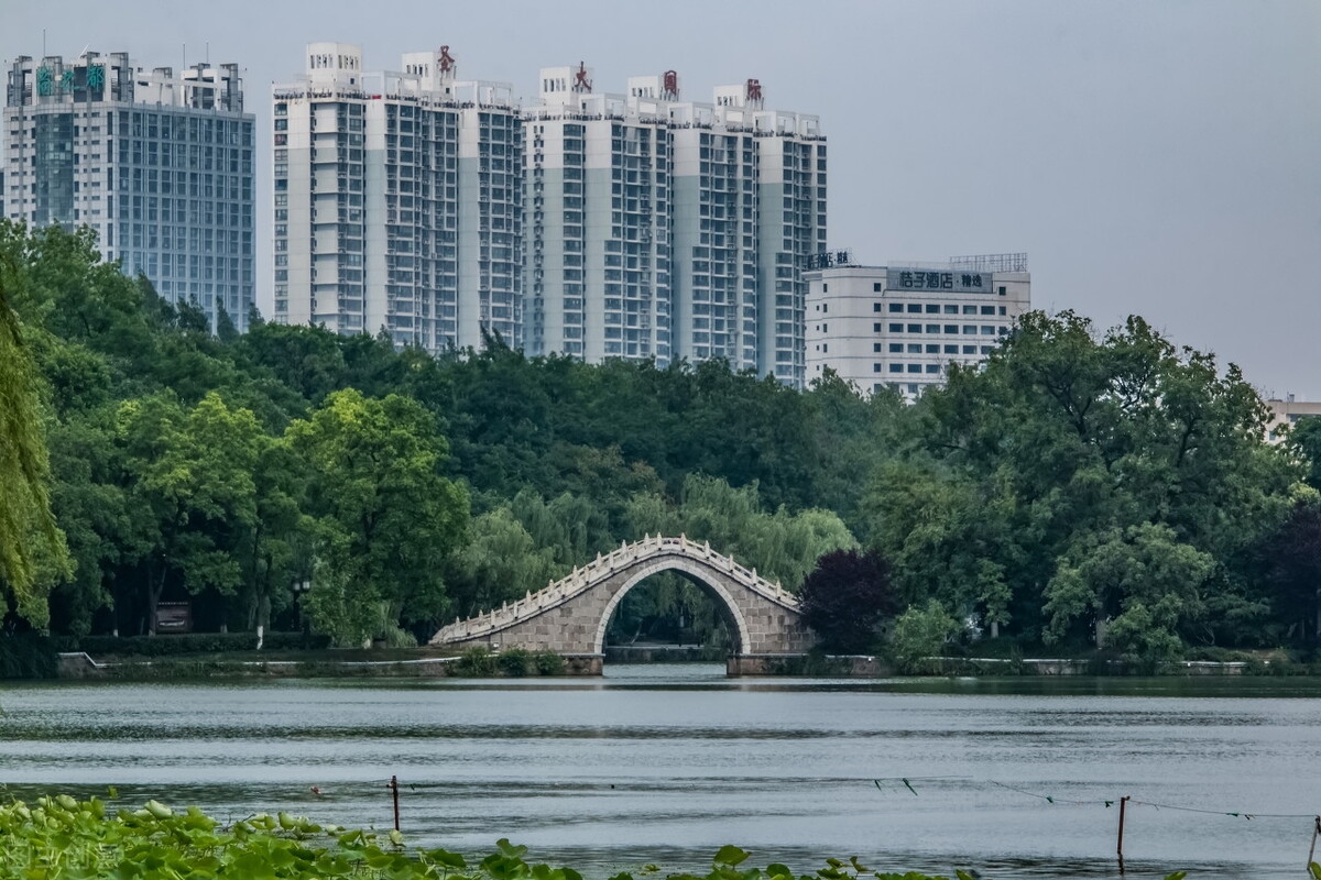 近代中国四大米市_中国大米现状与发展_中国市场大米来源