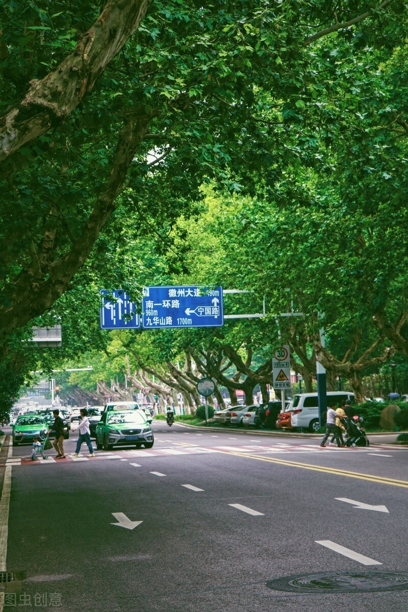 中国大米现状与发展_中国市场大米来源_近代中国四大米市