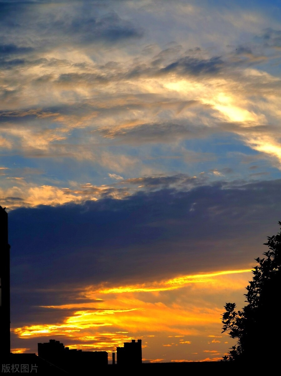 中国大米现状与发展_中国市场大米来源_近代中国四大米市