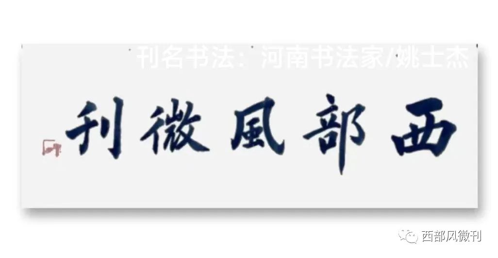 撒盐空中差可拟-【西部风微刊】散文：空中撒盐无所惧      最怕柳絮因风起        文/