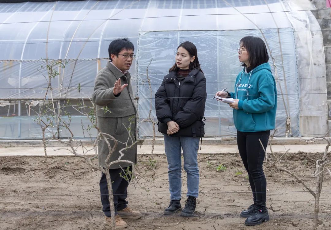 福建漳州十大特产干货_漳州名贵特产_漳州特产