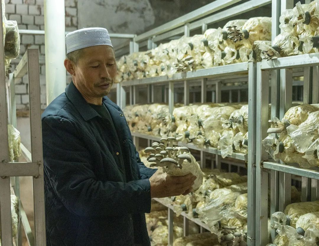 漳州名贵特产_福建漳州十大特产干货_漳州特产