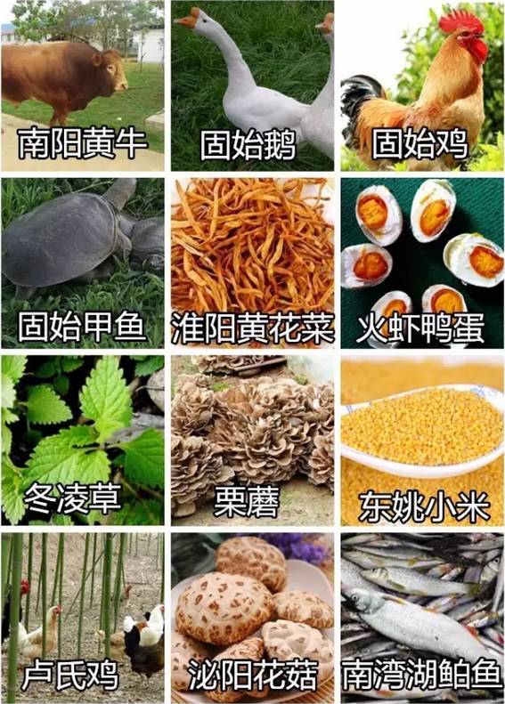 漳州特产水果_漳州特产_漳州赵家堡有特产