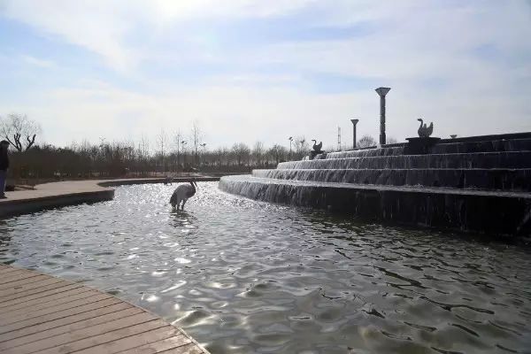 濮阳市属于哪个省_濮阳市是省辖市吗_濮阳属于地级市