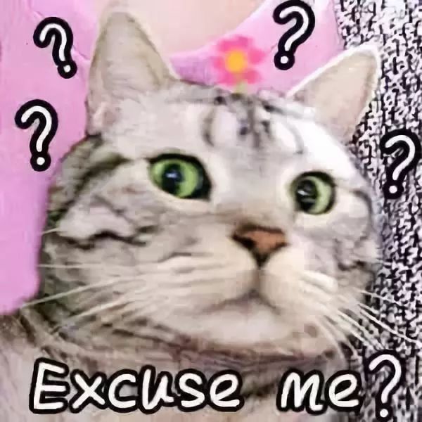 哈尔滨猫脸老太太事件_哈尔滨猫脸老太太_老太太哈尔滨猫脸事件