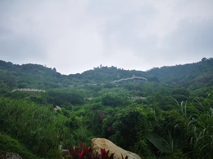 深圳八景_深圳八景之首是哪里_深圳八景都位于哪个区