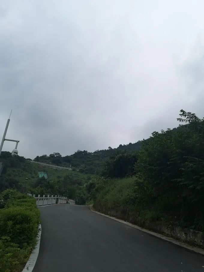 深圳八景都位于哪个区_深圳八景之首是哪里_深圳八景