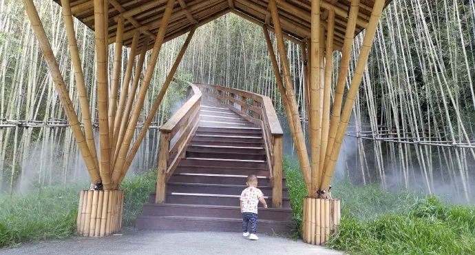 深圳八景之首是哪里_深圳八景_深圳八景都位于哪个区