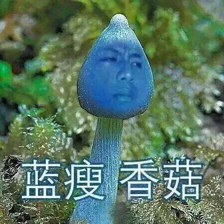 蓝瘦香菇是成语么_蓝瘦香菇什么意思_蓝瘦香菇的意思