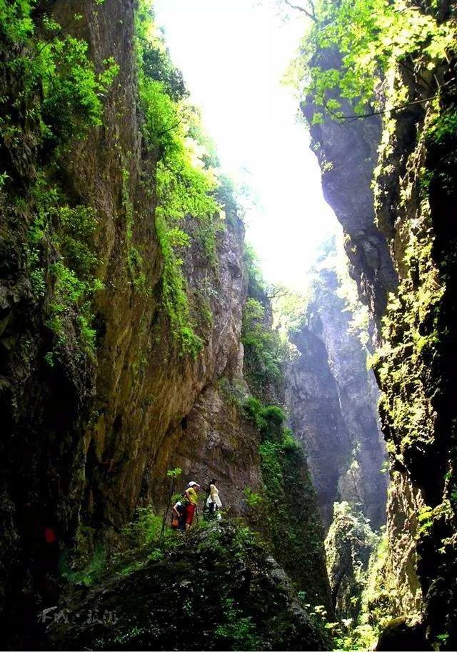 乌蒙大草原十方_乌蒙大草原视频_乌蒙大草原