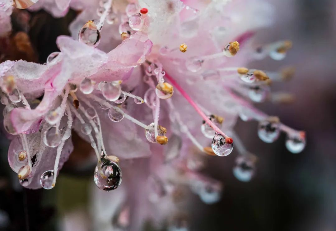 乌蒙大草原_乌蒙大草原讲解词_乌蒙大草原十方