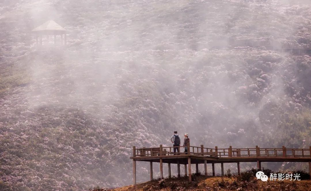 乌蒙大草原讲解词_乌蒙大草原_乌蒙大草原十方